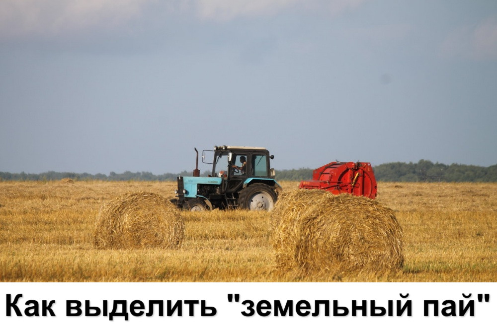 Как выделить «земельный пай»