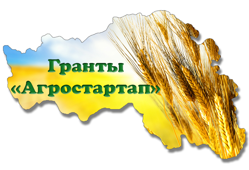 ИНФОРМАЦИОННОЕ СООБЩЕНИЕ О ПРОВЕДЕНИИ КОНКУРСНОГО ОТБОРА ИНФОРМАЦИОННОЕ СООБЩЕНИЕ О ПРОВЕДЕНИИ КОНКУРСНОГО ОТБОРА