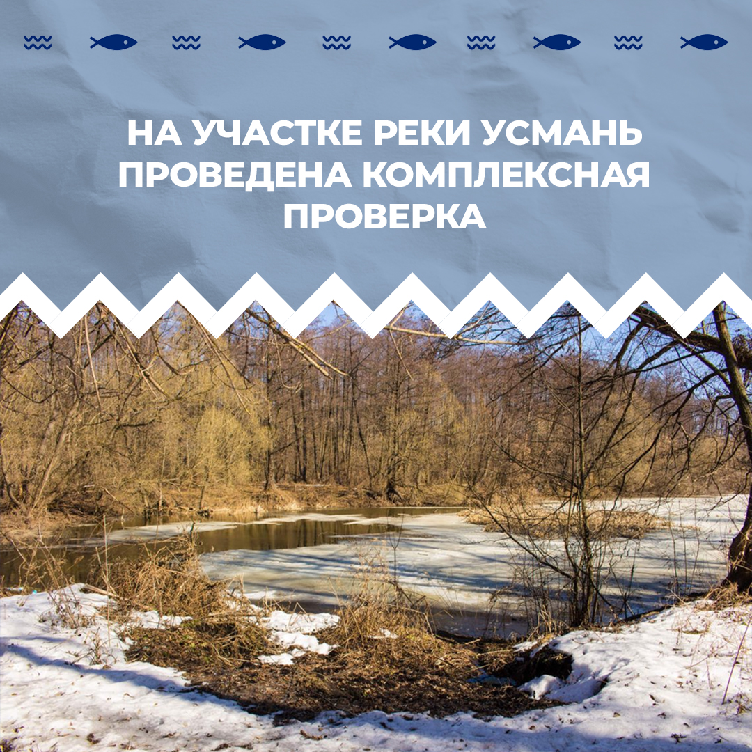 Замор рыбы Усмань Замор рыбы Усмань