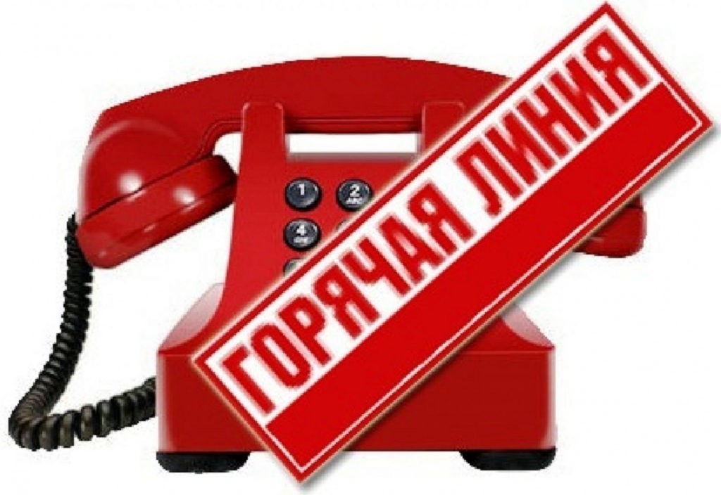 Начало работы горячей линии.