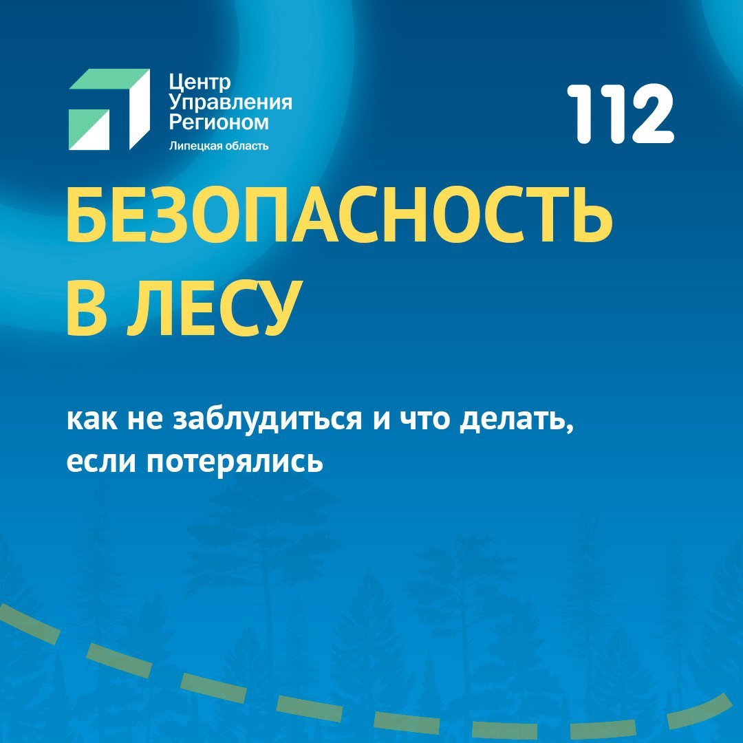 Будь аккуратнее в лесу