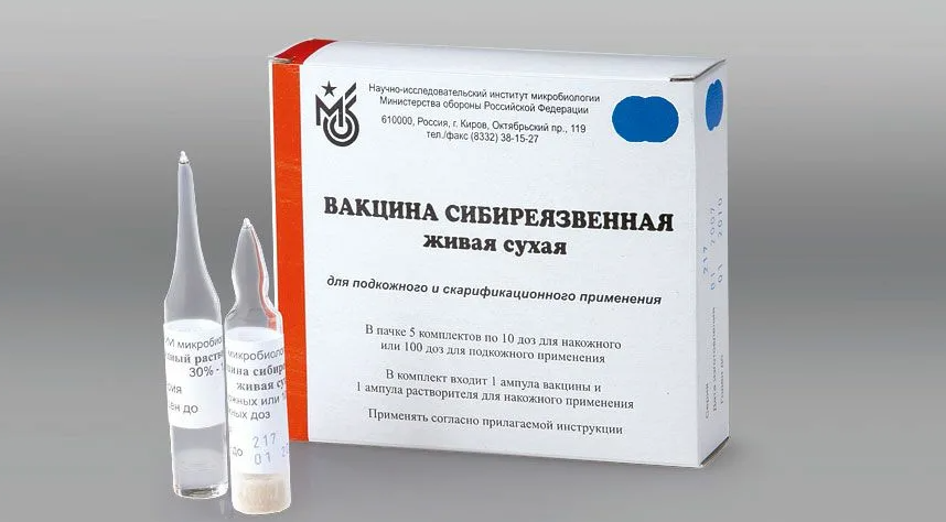 ЗАЩИТА ОТ СИБИРСКОЙ ЯЗВЫ – ВАКЦИНАЦИЯ
