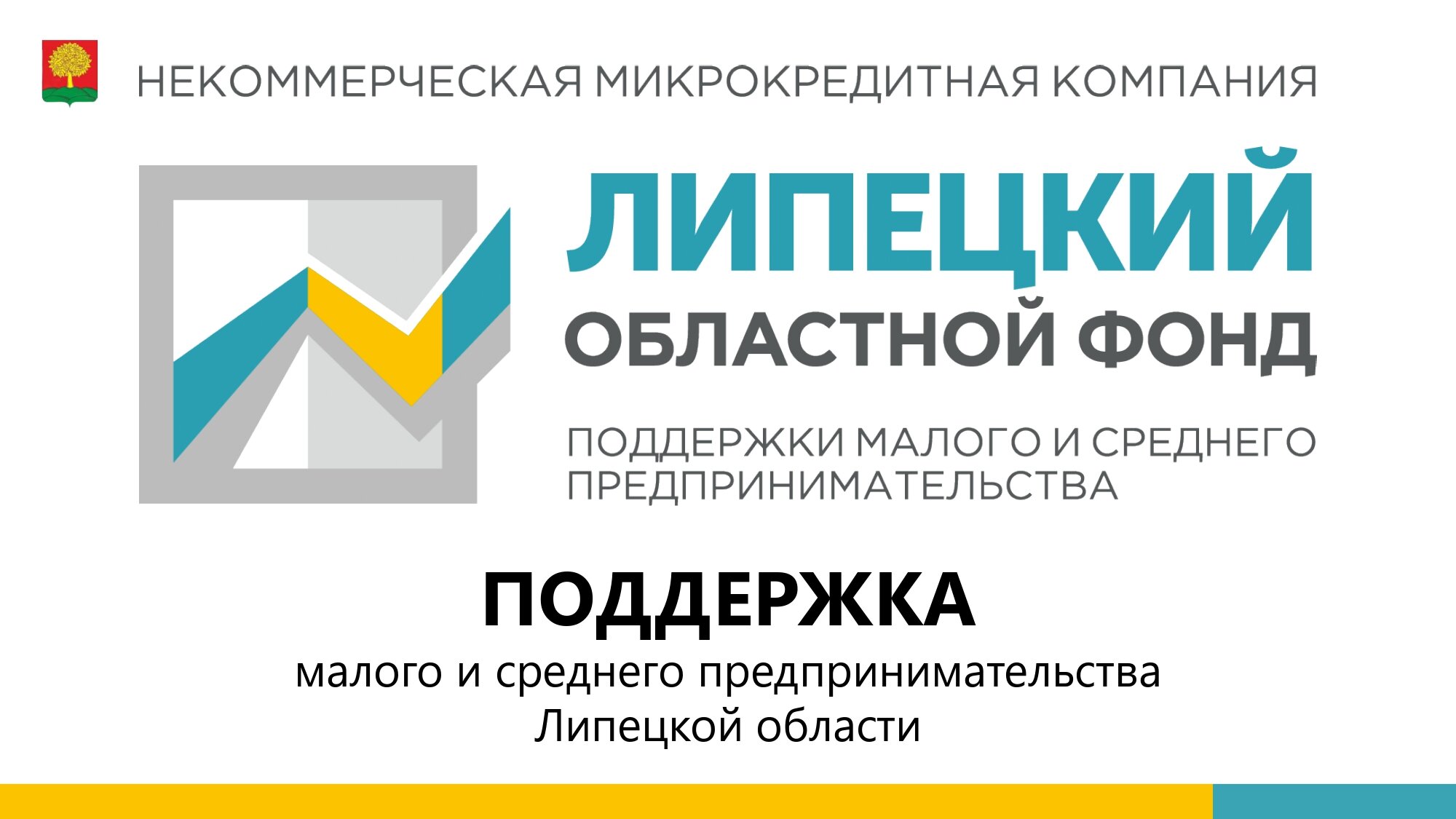 Поддержка малого и среднего предпринимательства Липецкой области